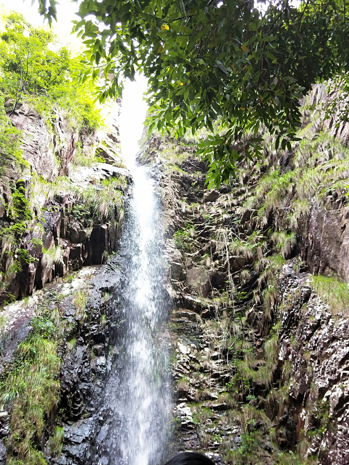 氣動角座閥